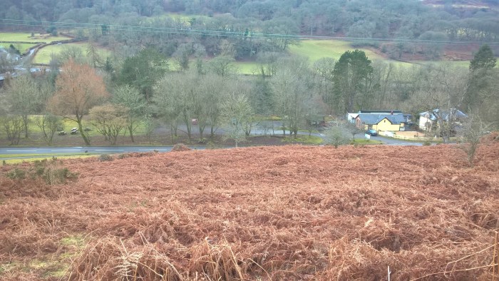 wp_20170205_12_24_10_pro