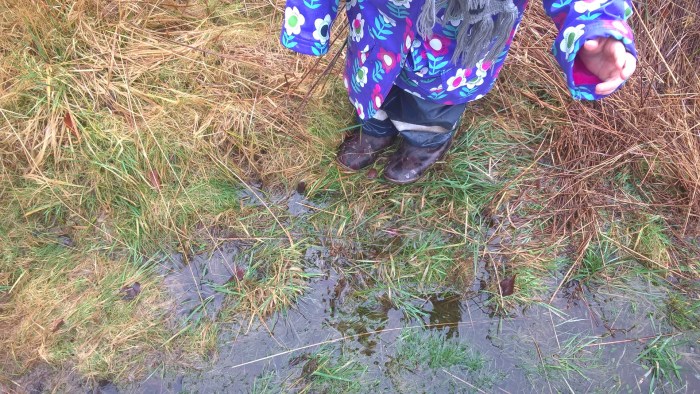 wp_20170222_10_55_54_pro