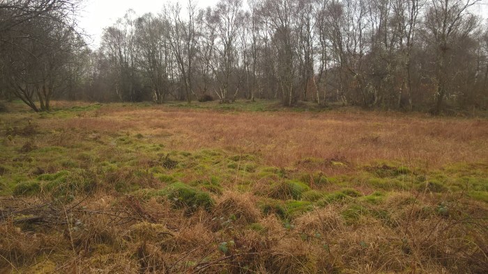 wp_20170222_11_24_08_pro