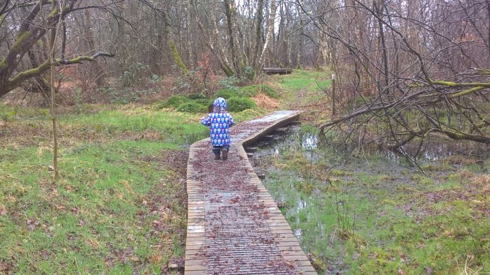 wp_20170222_11_26_15_pro