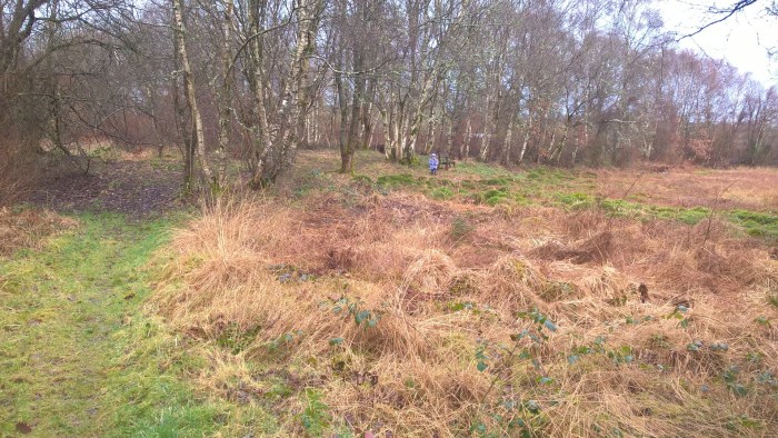 wp_20170222_11_30_36_pro