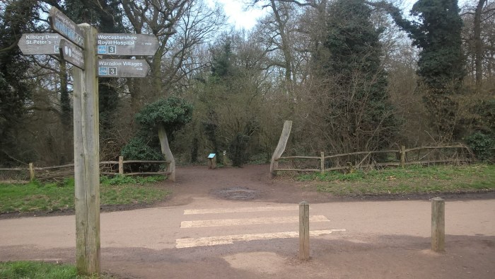 WP_20170310_13_44_30_Pro