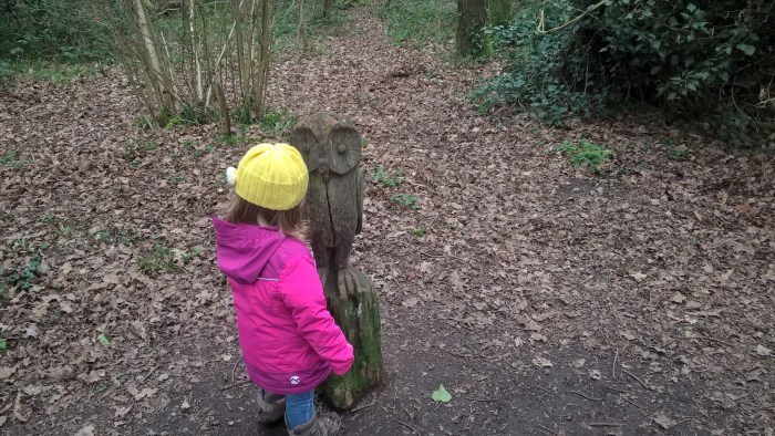 WP_20170310_13_47_36_Pro