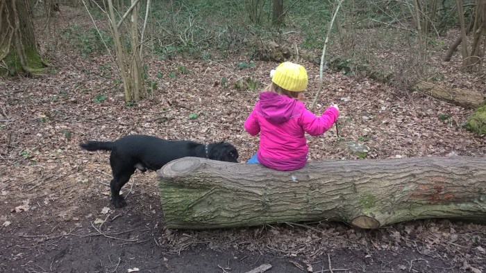 WP_20170310_13_49_13_Pro