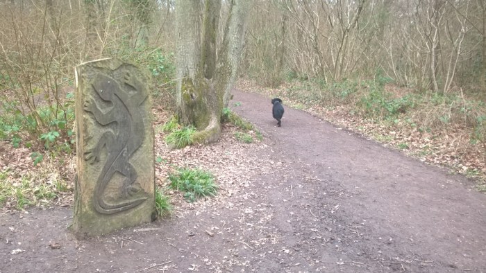 WP_20170310_13_52_57_Pro