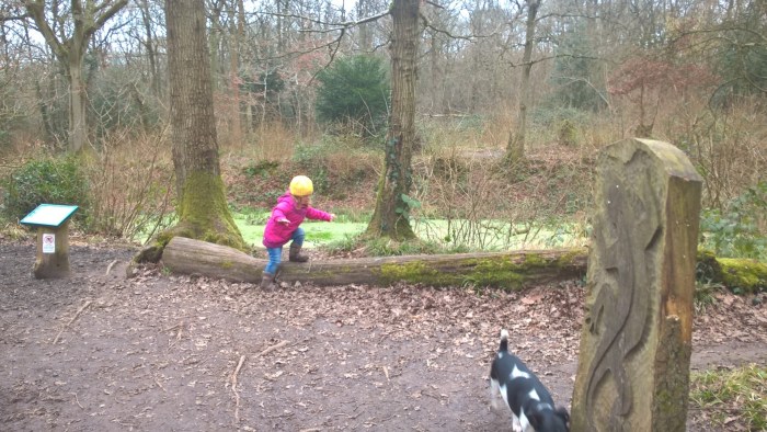 WP_20170310_13_53_28_Pro