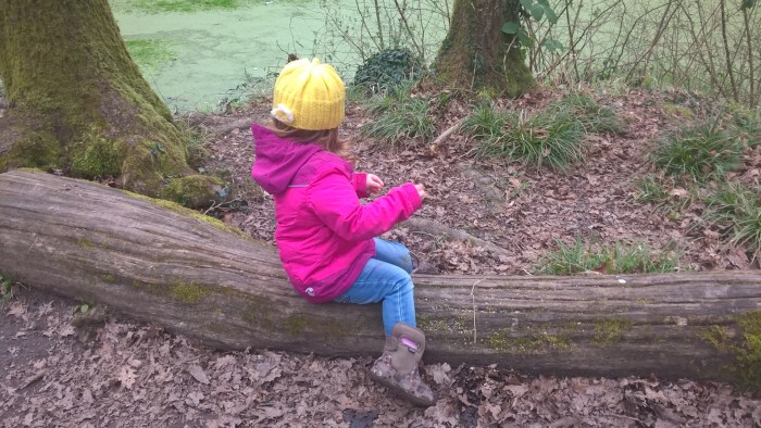 WP_20170310_13_54_02_Pro