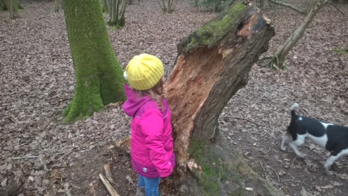 WP_20170310_13_55_51_Pro