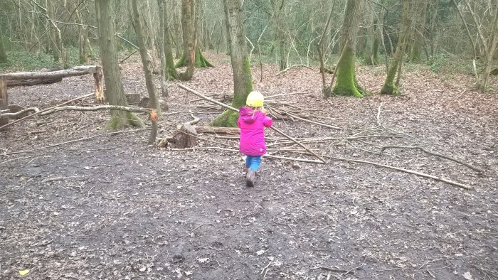 WP_20170310_14_05_58_Pro