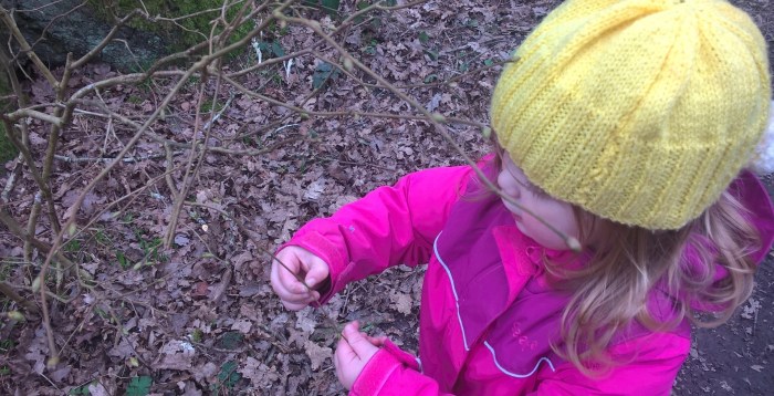 WP_20170310_14_10_14_Pro