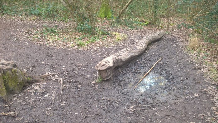 WP_20170310_14_13_29_Pro