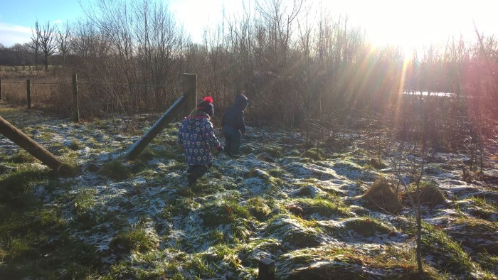 WP_20171227_12_10_29_Pro