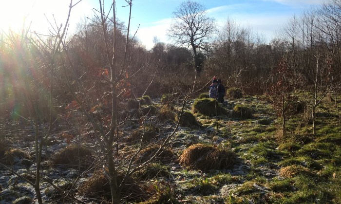 WP_20171227_12_11_11_Pro 1