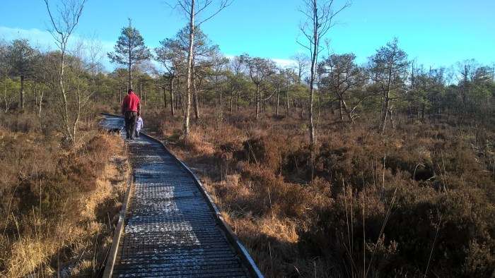 WP_20171227_12_32_47_Pro