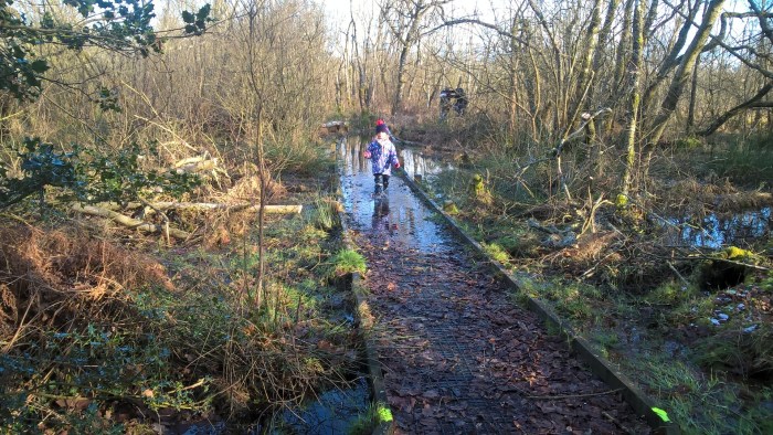 WP_20171227_12_47_09_Pro