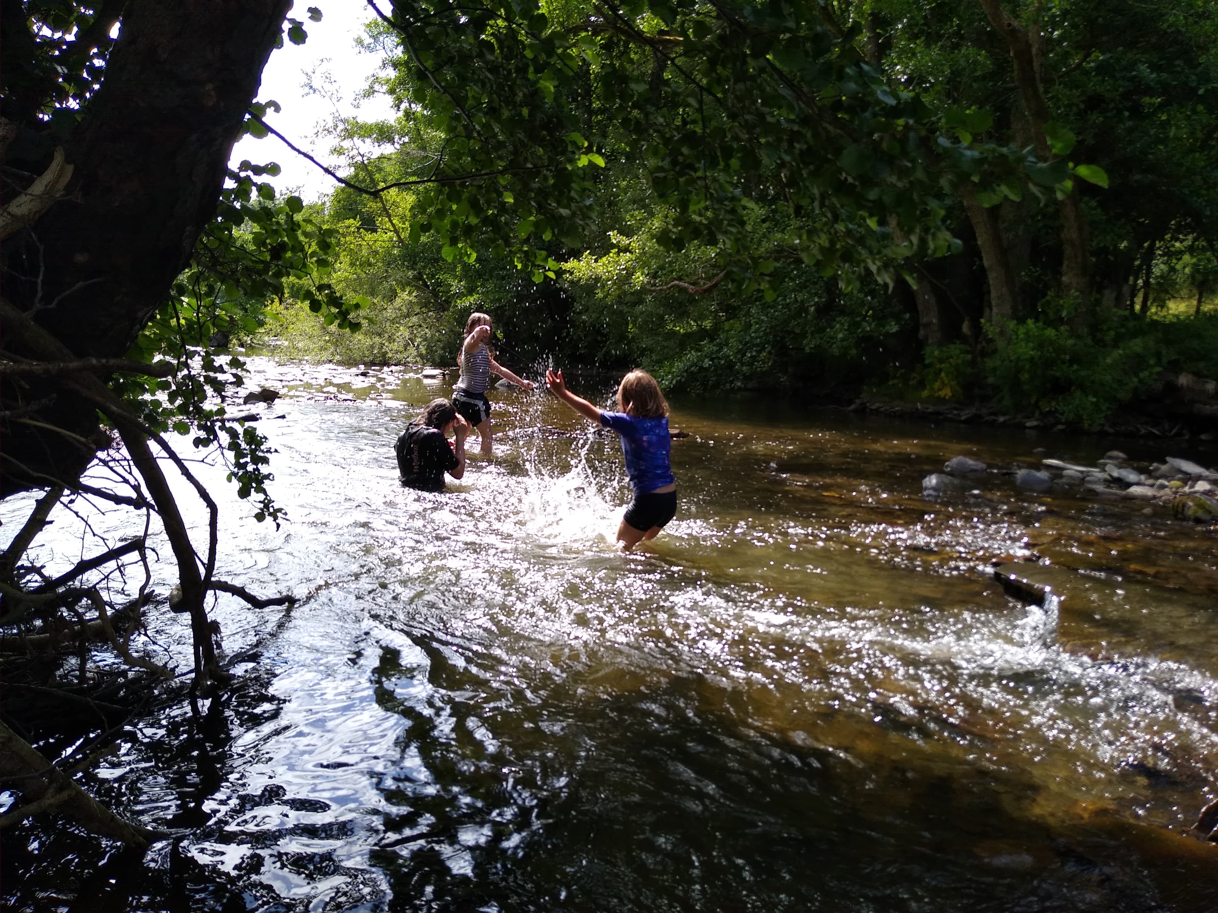 108559106_277994430126988_5580876389678773579_n (1)