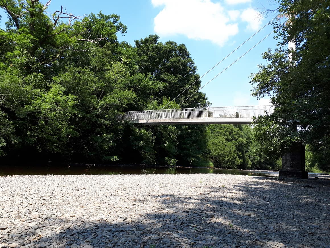 36675861_10156341854698605_7943582446774124544_o